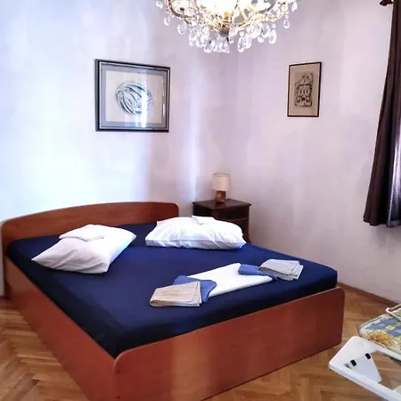 State Of Art Balica Rat