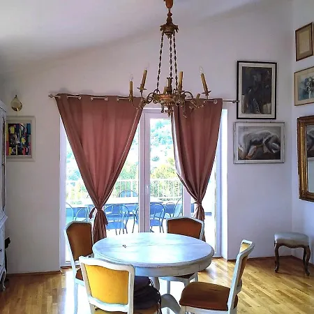 State Of Art Balica Rat